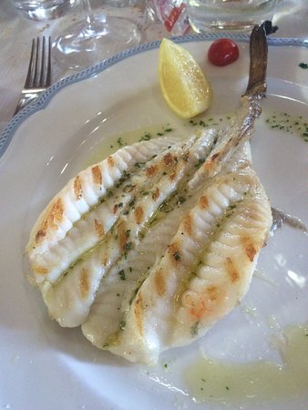 CODA DI ROSPO AI FERRI