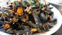 COZZE ALLA MARINARA